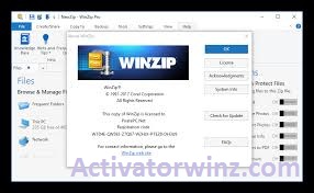 WinZip Pro Crack 